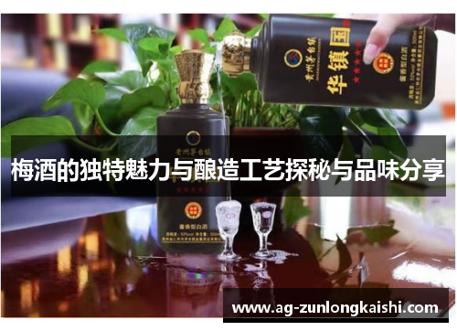 梅酒的独特魅力与酿造工艺探秘与品味分享